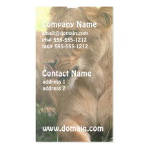 Lioness with Tongue Out Business Cards