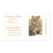 Lioness with Tongue Out Business Cards
