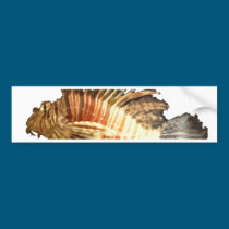 Lionfish bumper stickers