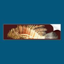 Lionfish bumper stickers