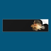 Lionfish bumper stickers