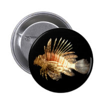 Lionfish buttons