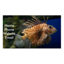 Lionfish Profile Card Business Card