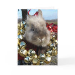 Lionhead Bunny Christmas Card