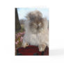 Lionhead Bunny in Sleigh, Christmas Greeting Cards