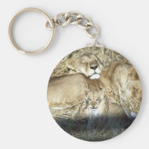 Lions and cub in Botswana Africa Key Chain