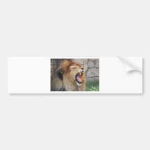 Lions Bumper Sticker