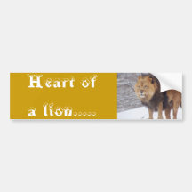 Lions Bumper Sticker