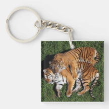 Lions image Key Chain