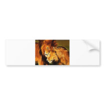 Lions in Love Bumper Stickers