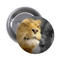 Lions in Love Pins