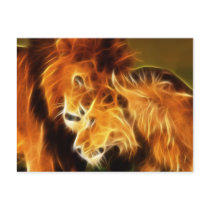 Lions in Love Postcards