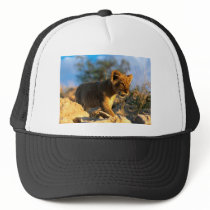 Lions in the Wild Gifts and Tees Trucker Hat