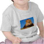 Lions in the Wild Tees, Cards and GIfts
