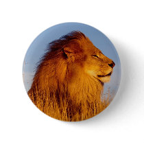 Lions in the Wild Tees, Cards and GIfts Buttons