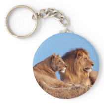 Lions in the Wild Tees, Cards and GIfts Keychains