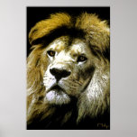 Lions only kill when they are hungry .... poster