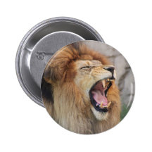 Lions Pinback Buttons