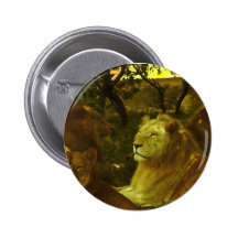 Lions Pride Pin