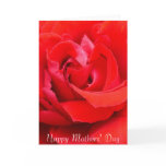 Lipstick Red Rose cards
