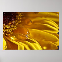 Liquid Gold Print