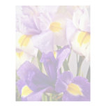 L'iris fleurit des fleurs en-tête de lettre avec motif