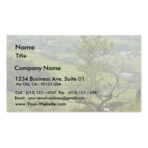 L'Irlande Buissons Modèle De Carte De Visite