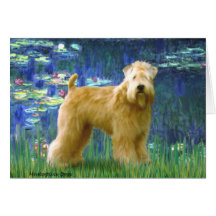 Lis 5 - Terrier blond comme les blés (support) Carte