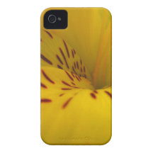 Lis Coques iPhone 4