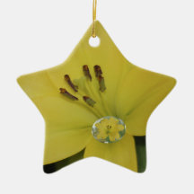 Lis jaune de goutte de pluie ornements