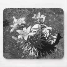 Lis Mousepad Tapis De Souris