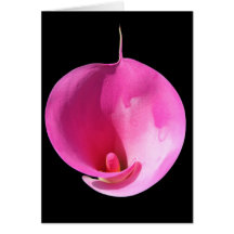 Lis rose carte