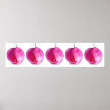 Lis roses posters