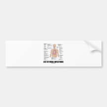 List Of Viral Infections (Anatomical Health) Bumper Stickers