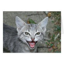Listen to me! greeting card
