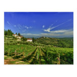 L'Italie, Toscane, Greve. Les vignobles de Castell Carte Postale