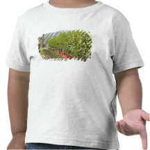 L'Italie, Toscane, Montalcino. Poubelles de moisso T-shirt