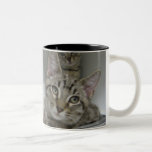 Litter Mates Coffee Mug