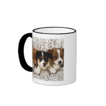 Litter of puppies coffee mugs