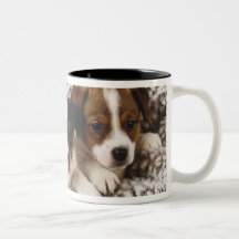 Litter of puppies mug