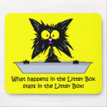 Litterbox Cat