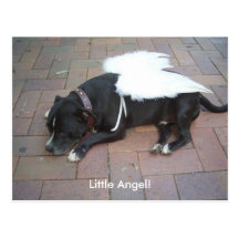 Little Angel! Postcard