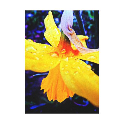 Little April Showers Canvas Print
