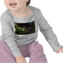 Little beauty t-shirt