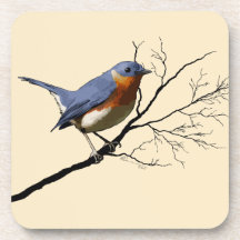 Little Bird Blue, Coasters
