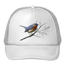 Little Bird Blue, hat