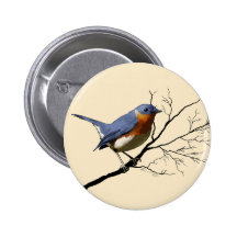 Little Bird Blue, pin