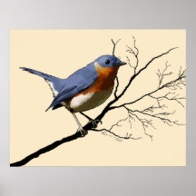 Little Bird Blue, Print