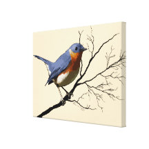 Little Bird Blue, Stretched Canvas Prints