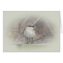 Little Bird Greeting Cards